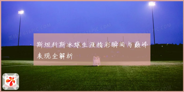 斯坦科斯冰球生涯精彩瞬间与巅峰表现全解析