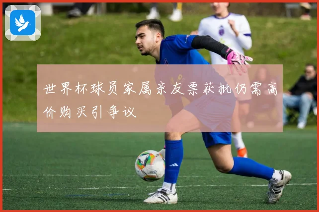 世界杯球员家属亲友票获批仍需高价购买引争议